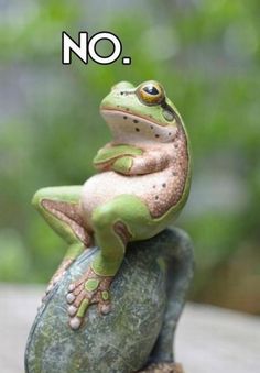 froggyxrayman's tweet photo. No one can get past this frog 🐸🐸🐸🐸🐸🐸🐸🐸🐸🐸🐸🐸🐸🐸🐸🐸🐸🐸🐸🐸🐸🐸🐸🐸🐸🐸🐸🐸🐸🐸🐸🐸🐸🐸 https://t.co/dZUHdzwIfg
