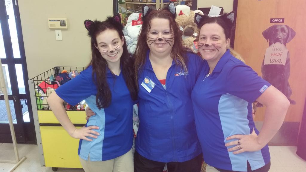 nicholewalker88's tweet photo. National cat day https://t.co/PYfNKPhrYa