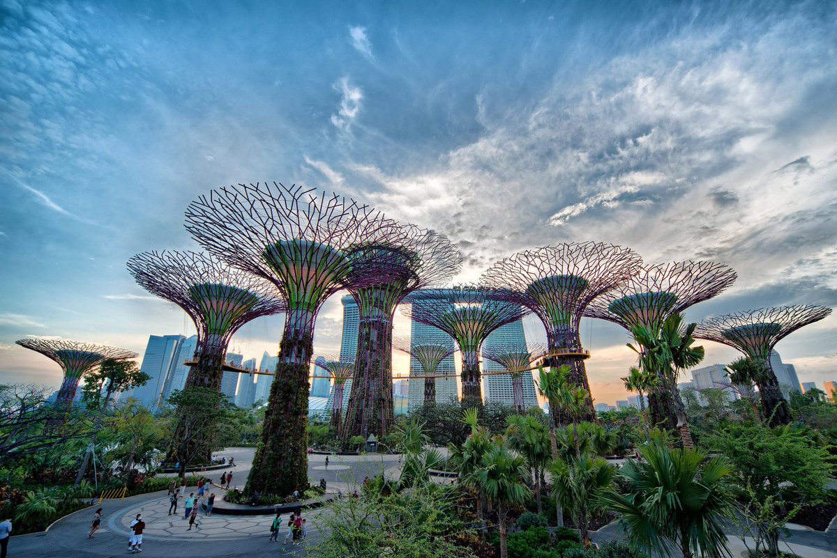 WorldPlaces_'s tweet photo. Botanical Garden (Singapore) #BotanicalGarden #Singapore #worldplaces https://t.co/CegaoBLUYz