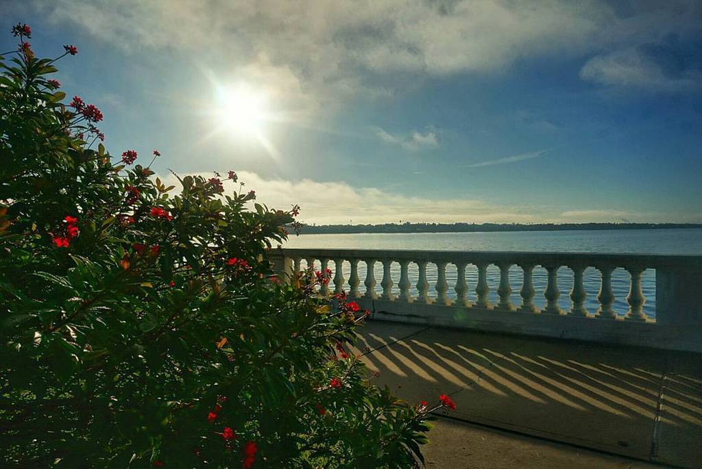 Chari_S's tweet photo. Sunrise on Bayshore Blvd #Tampa #Tampabay #sunrise #beautiful #instamood #florida #igersta… https://t.co/TWBfZpt8gB https://t.co/uBv1OfDrEc