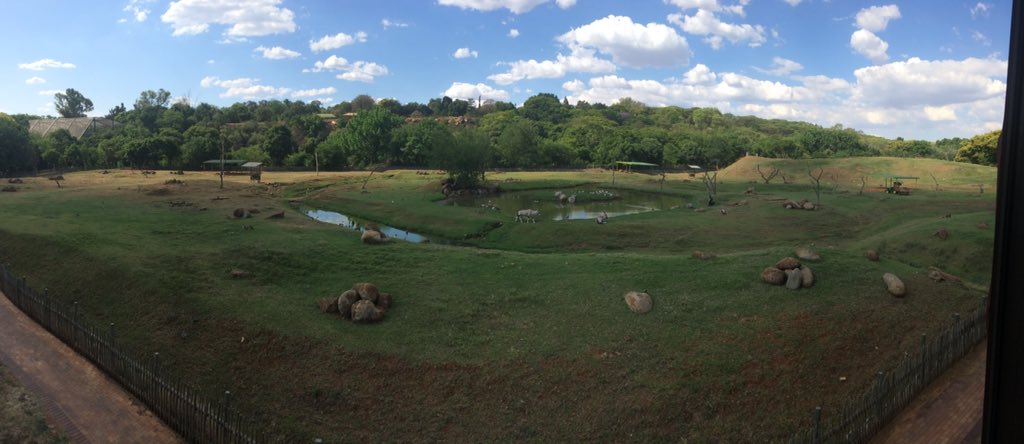 JuanQuinn1's tweet photo. Attending @SAACIofficial #Tshwane Branch launch at Tshwane Zoo . So impressed with #saaci @adriaanjl @CasaToscanaPta https://t.co/pk5BguGBS7