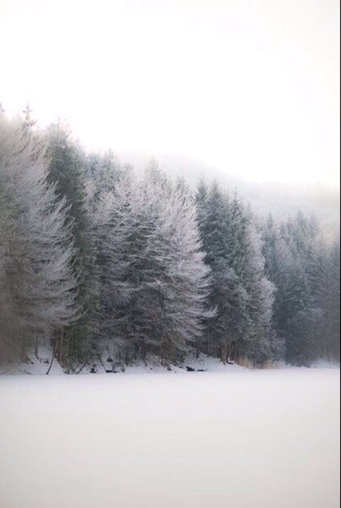 onaena_'s tweet photo. Немного зимнего минимализма. https://t.co/6uorgFUnHl