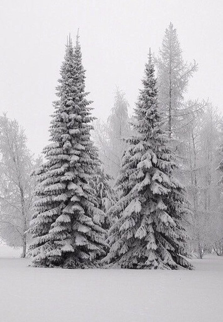 onaena_'s tweet photo. Немного зимнего минимализма. https://t.co/6uorgFUnHl