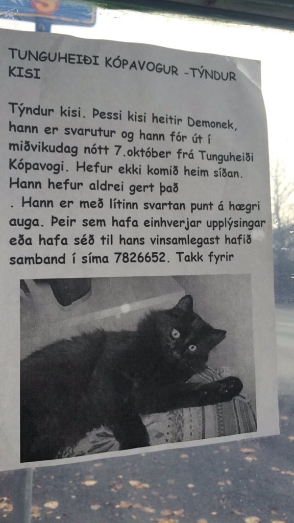 oPungurSilungs's tweet photo. hef pínu áhyggjur af honum núna #2vikur https://t.co/5IoKE1JolP