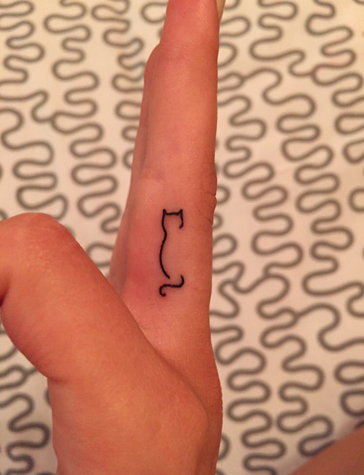 JasmineODell's tweet photo. Happy #NationalCatDay @ImogenCGartside @laurenamie https://t.co/BAobjTME5s
