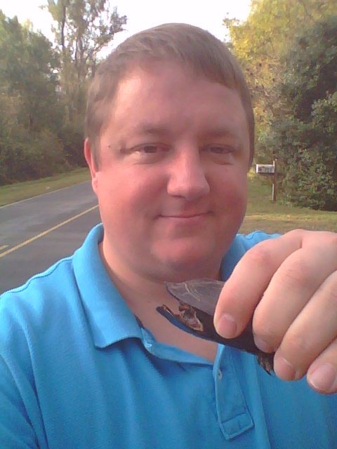 JeremyJSims's tweet photo. #turtlecrossing #savedaturtle #redearedslider #didmygooddeedoftheday https://t.co/320506KosX