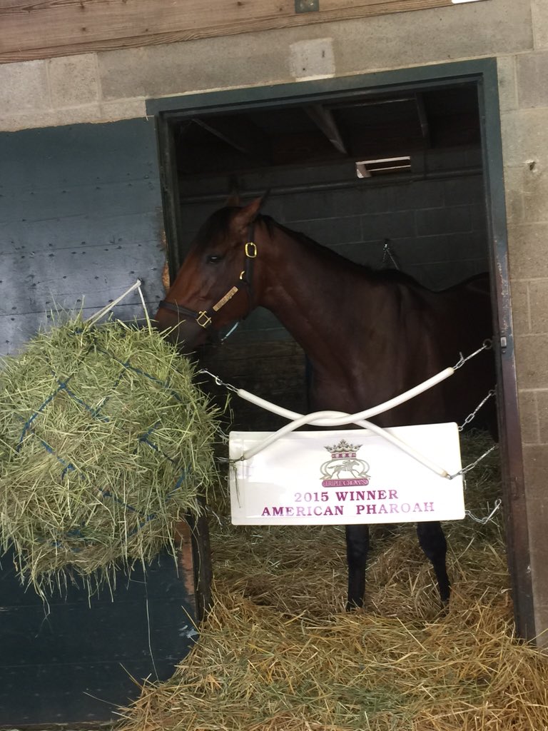 JustinZayat's tweet photo. Big horse is awesome today! @jazz3162 https://t.co/ic5XPxfD8D
