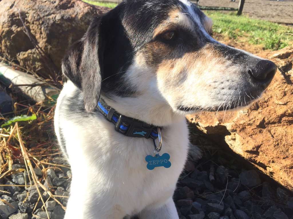 Tik Maynard Company tweet media