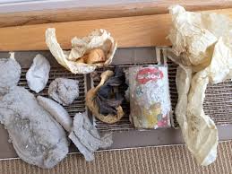 ServproCMC_CC's tweet photo. Look what we found in dirty ducts! SERVPRO professionals do the job right! 609-624-0202 #dirtyducts #callservpro https://t.co/rMZeoQrZhb