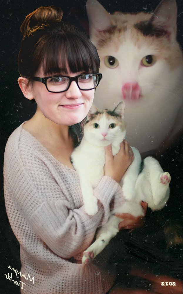 WeAreHG's tweet photo. In honor of National Cat Day our very own HG cat lady Alyssa has allowed us to post some of her favorite cat pics. https://t.co/eGhGyyKi7p