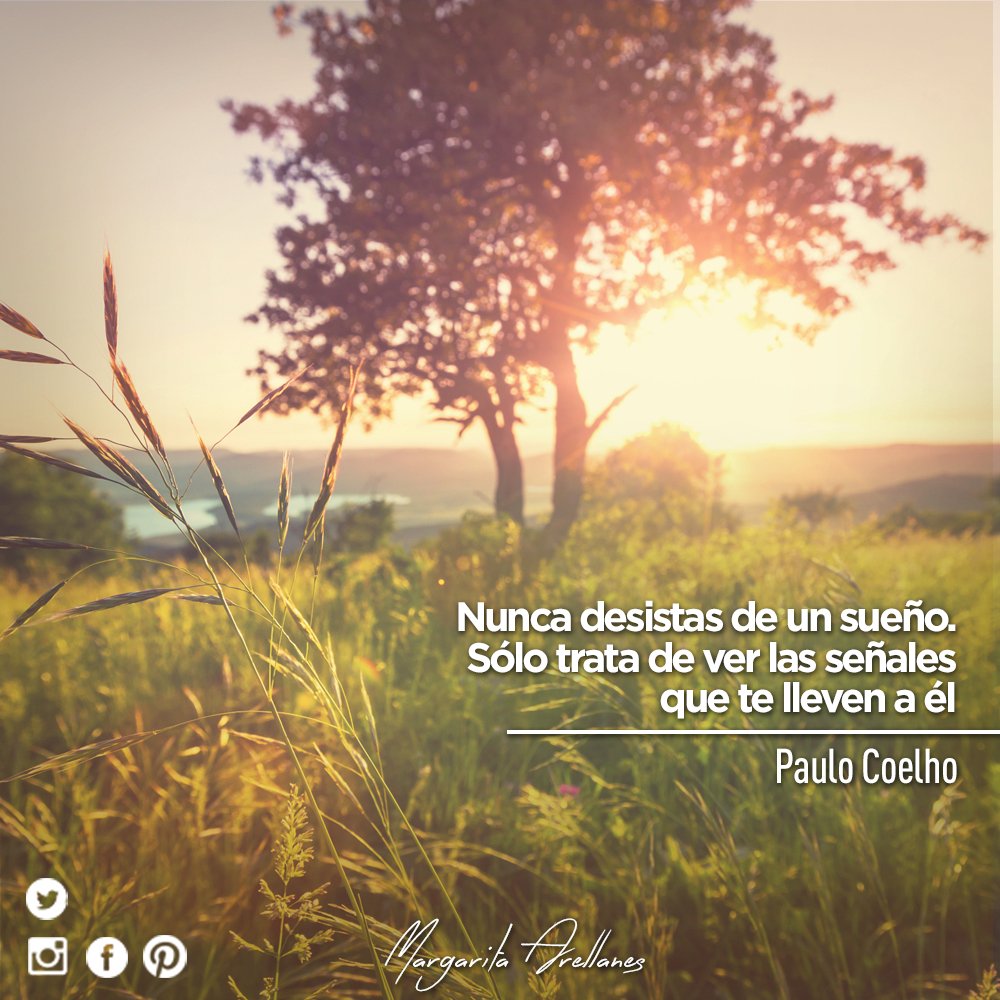 Margarita Arellanes tweet media