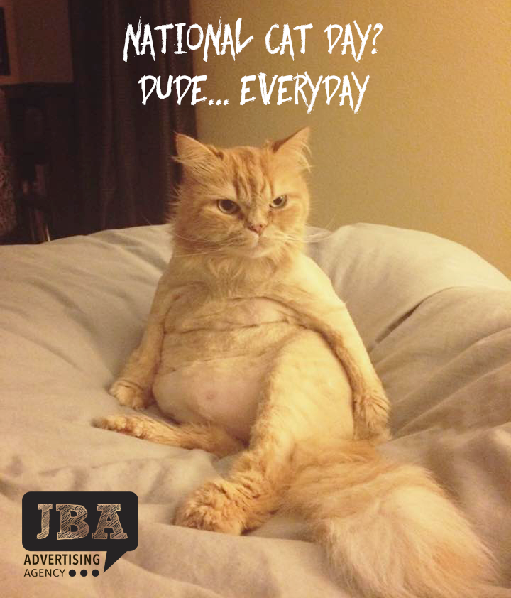 portsideadv's tweet photo. Because it's #NationalCatDay. And #WhyNot? #AgencyLife #Advertising #FrumpyCat #NotGrumpyCat #CatChillin #CoolCat https://t.co/8MDHRC0Wpd