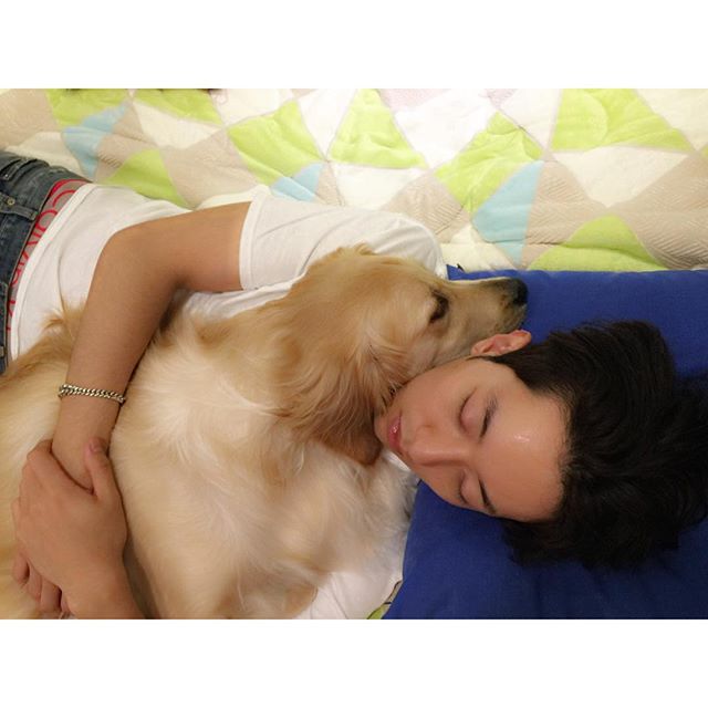 埋め込み画像への固定リンク