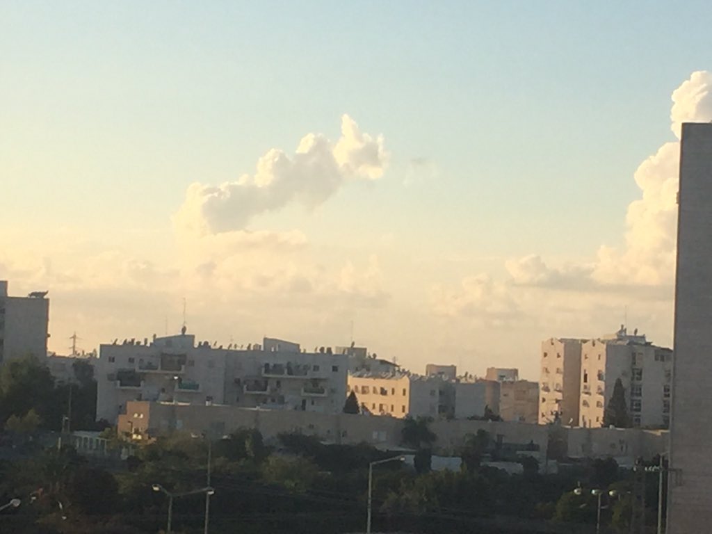 Lina19592000's tweet photo. מה זה https://t.co/EzVleRcP3X