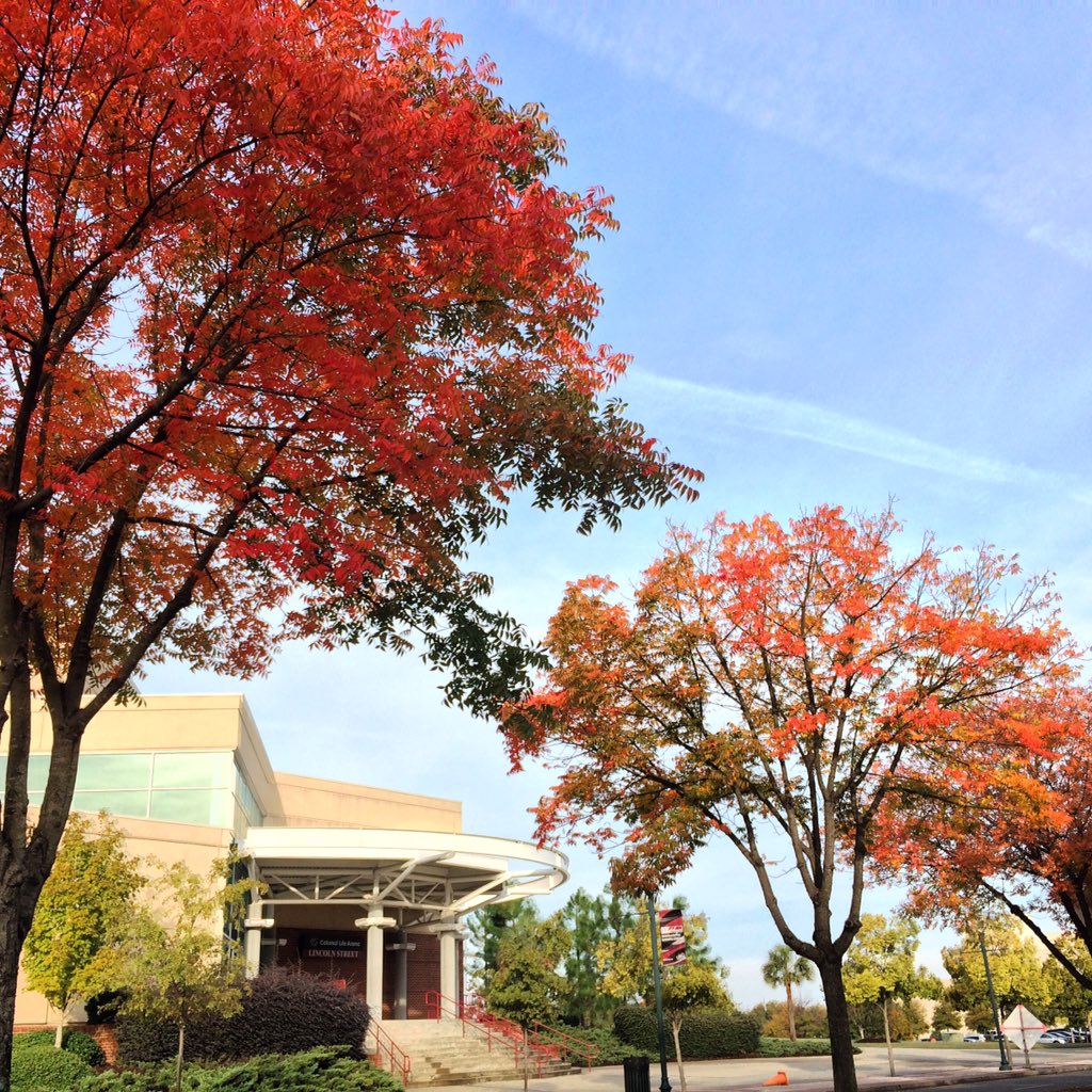 liz_davis2's tweet photo. #Fall arrived at #uofsc #ColumbiaSC! Love #fallweather. https://t.co/CnlM4Jxm6C