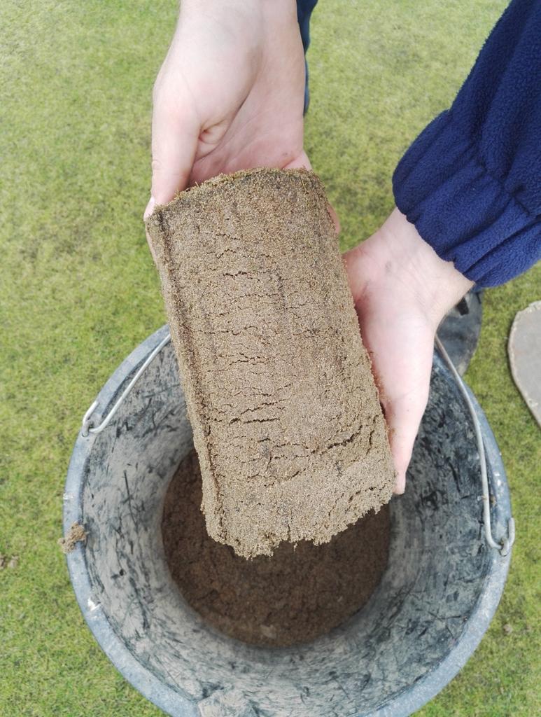 Burstwick CG tweet media