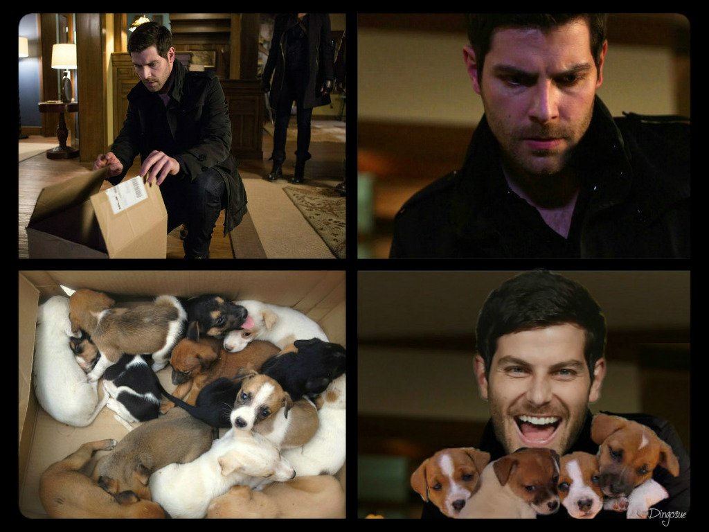 dingosue's tweet photo. Last season on Grimm..... or something like it. YAY! @NBCGrimm Season 5 Premiere TOMORROW! 9/8c NBC @mistergiuntoli https://t.co/vOkGbWvGbf