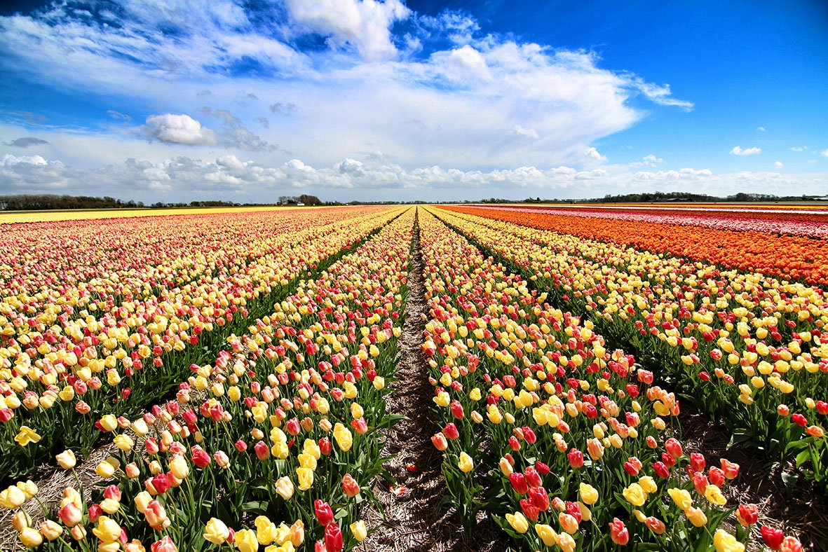 Mijn afscheidsvideo bit.ly/1PVLLqE
Je kunt mijn nieuwe #blog volgen op @daisyscholte
#reisblog #travel