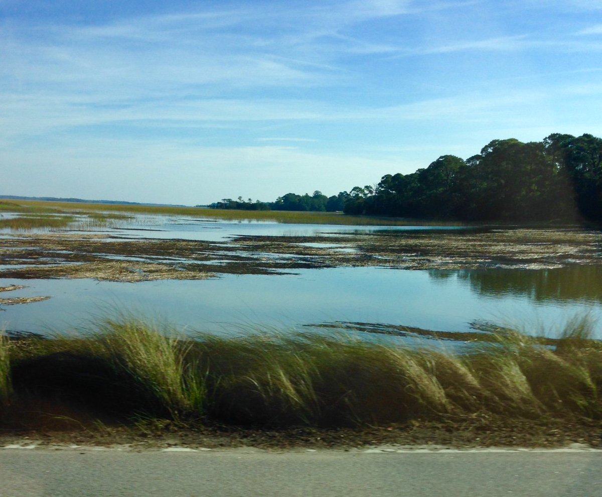 WellsGallery's tweet photo. The tides are high on Kiawah, but there are no road problems.  It's a beautiful day! https://t.co/D2jO1WgsOq