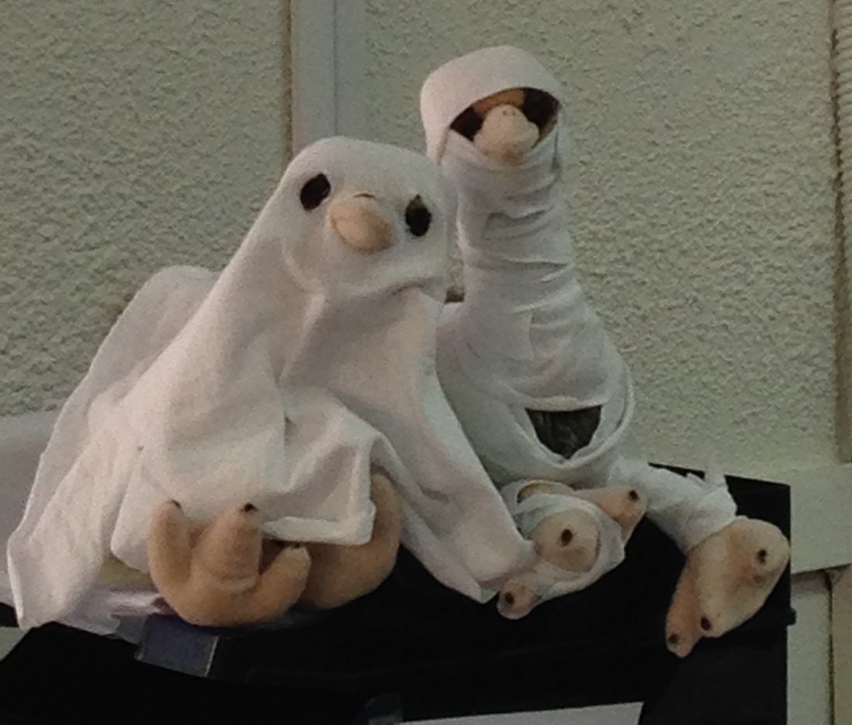 axiellalm's tweet photo. The #Emus at the Toronto office are ready for #Halloween festivities! https://t.co/raY1zqmJF9