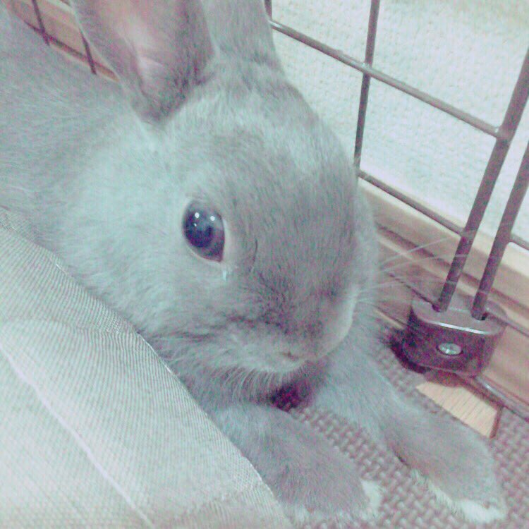 どう考えてもせまいでしょ…