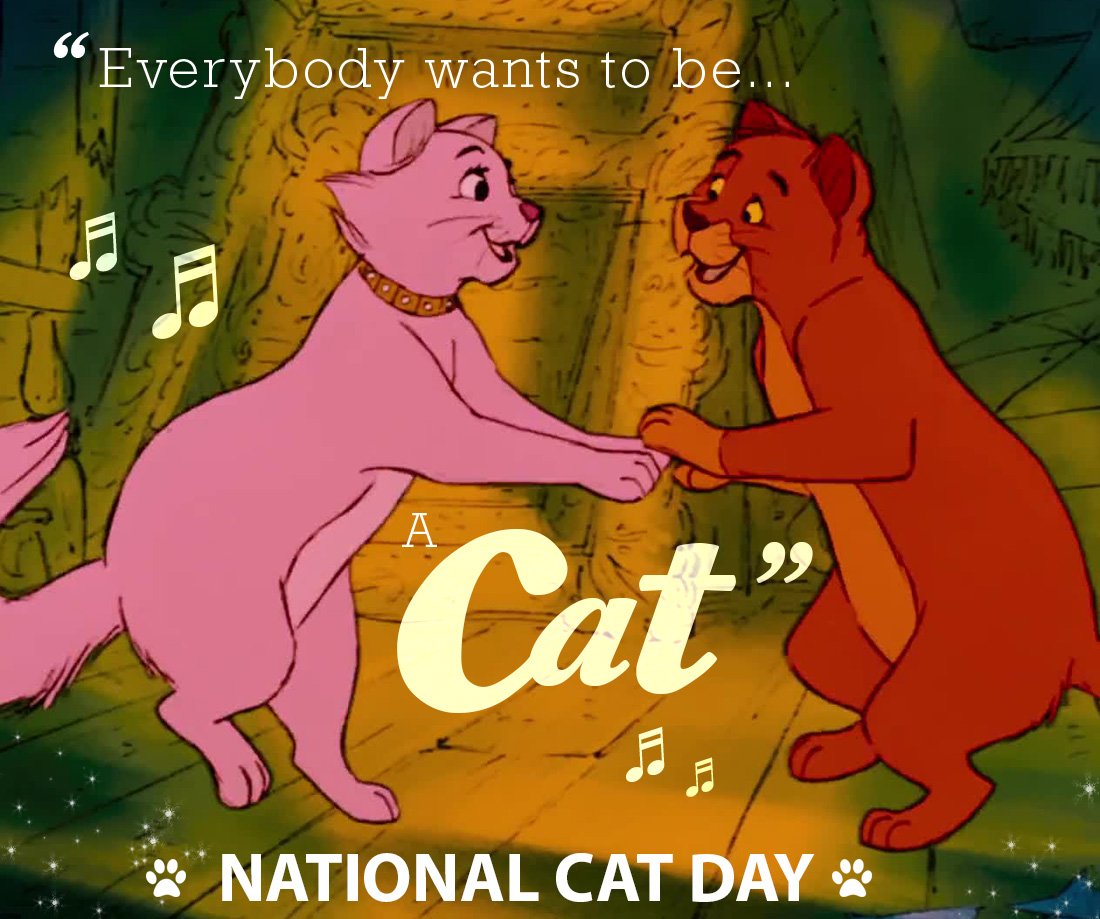 ♬ A cat's the only cat, who knows where it's at ♪ #NationalCatDay
