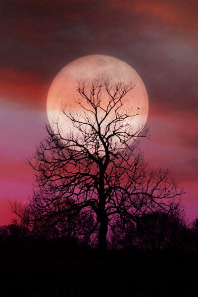 _Paisajes_'s tweet photo. Luna rosa https://t.co/5WCUopHqF6