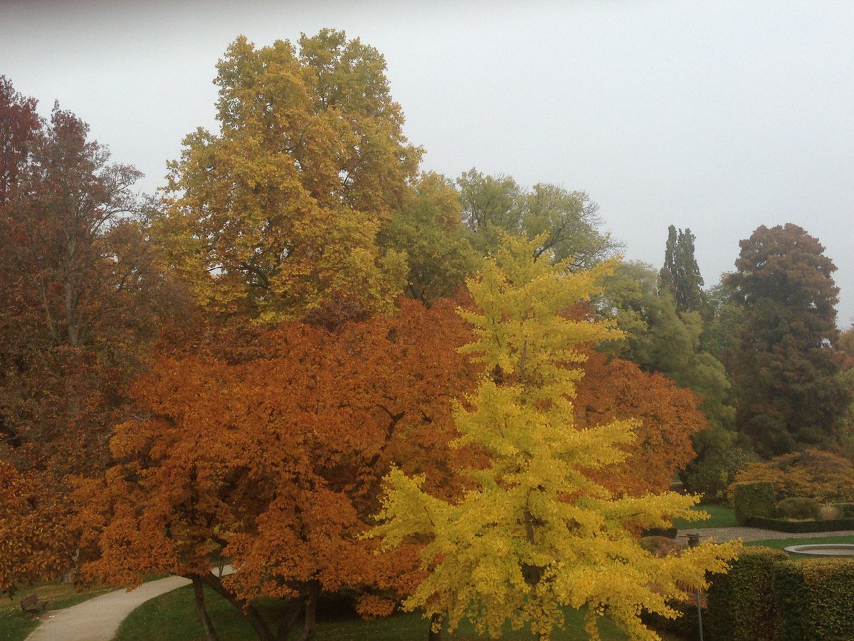knowtech_net's tweet photo. Nicht alles dreht sich um #Wissensmanagement auf der #knt15. #IndianSummer in Hanau. https://t.co/7uJg0ndQSX