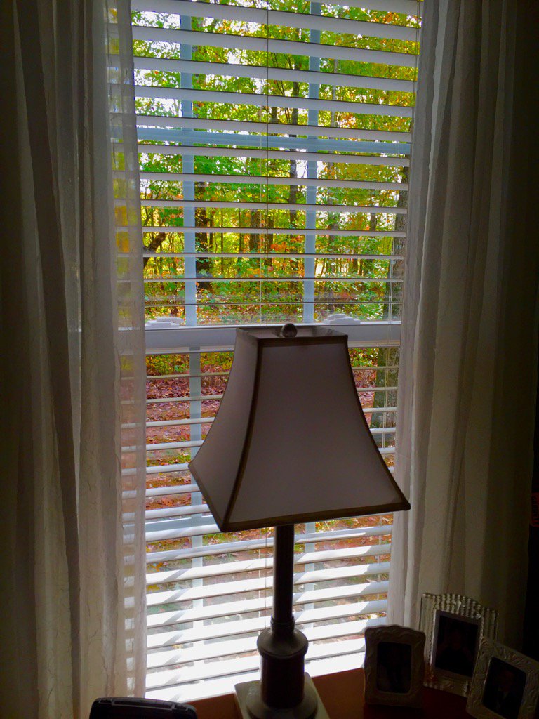 SimplySageQuote's tweet photo. #AutumnIn3Words Through the window #NikonFallNC #fallphotos https://t.co/ztlh5yOkqC