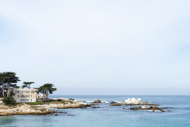 MeganRSCLLC's tweet photo. Last week's #BAATUG was amazing! Thanks @MontereyAq for hosting. For highlights: https://t.co/0ipw4Vtsjb #IWMS #SLAs https://t.co/XWK6vA7Uva