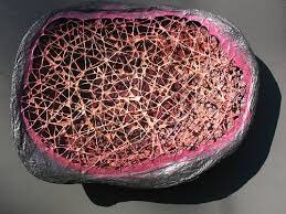humeruscyto's tweet photo. Cytoskeleton: Supporter of the entire cell and every organelle. https://t.co/uEQWcdW42E
