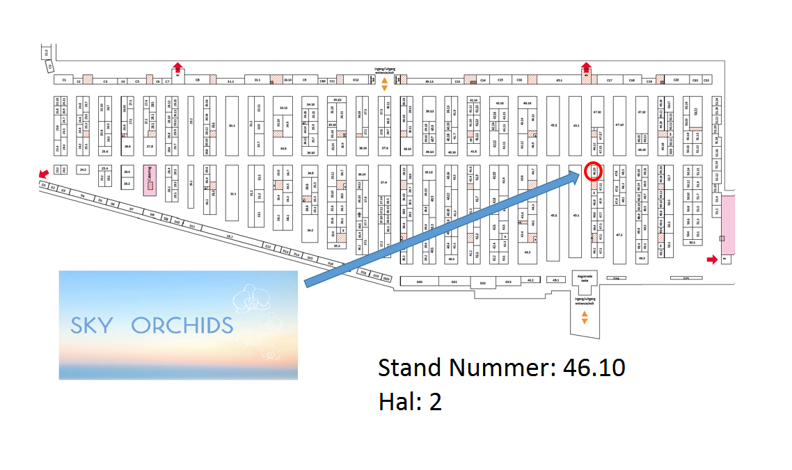 OrchidsSky's tweet photo. Sky Orchids nodigt u uit om een kijkje te komen nemen bij onze stand tijdens
de FloraHolland Trade Fair in Aalsmeer. https://t.co/JhobkWPO4n