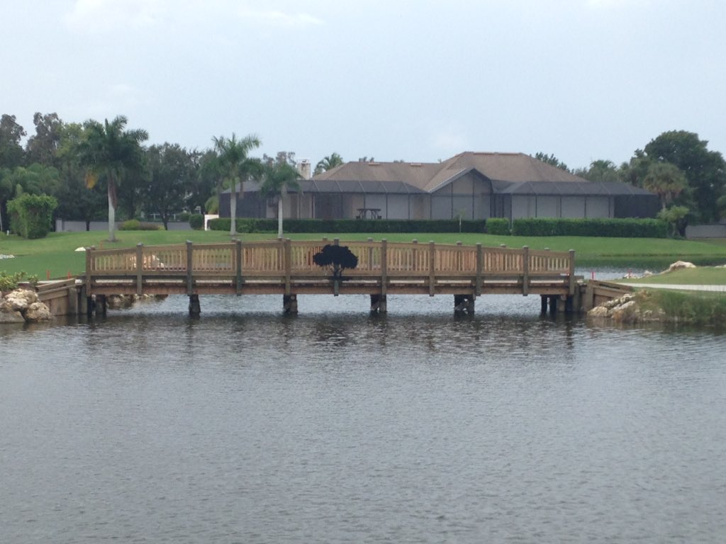Progress of the bridge on 10