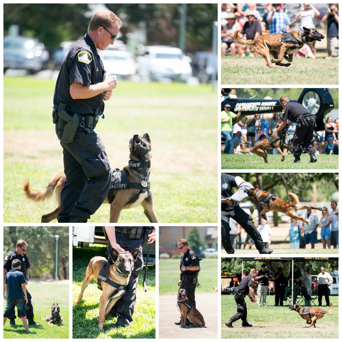sacsheriff's tweet photo. Happy Birthday, K9 Rex! #threecandles https://t.co/zjbLQk6RvW