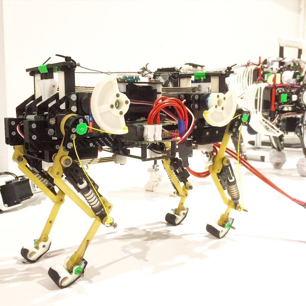 shalomormsby's tweet image. So inspired by the #biorobots #robotics event, hosted by @swissnexSF + @bayareascience. Cheetah-inspired #robot...