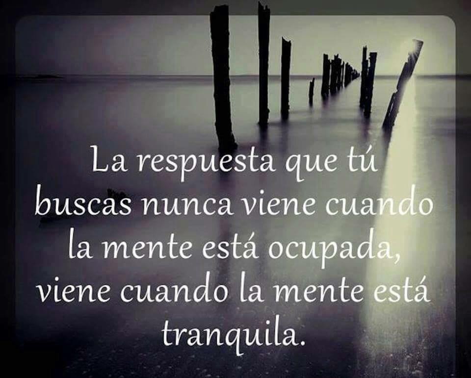 SofiaEnTuRadio's tweet photo. ¡Muy buenos días! Recuerden... https://t.co/xPqEyXSoYB