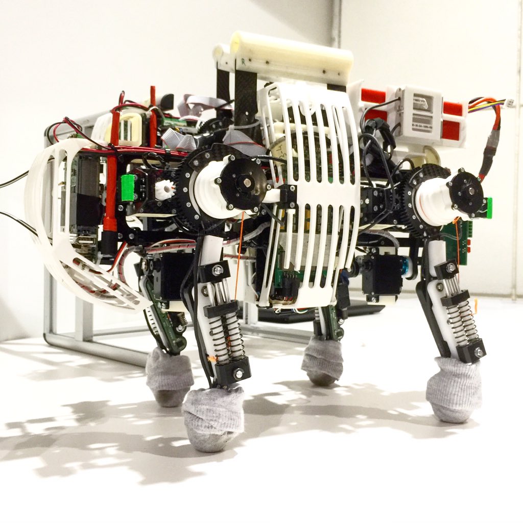 shalomormsby's tweet image. Another #robot from the #biorobots #robotics event, hosted by @swissnexSF + @bayareascience. Next Tweet, see it move