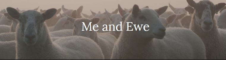 TheFarmingForum's tweet photo. Looking forward to reading more from this new blogger
#MeandEwe https://t.co/fYeWWZtVQF https://t.co/sC5z2GdoDl