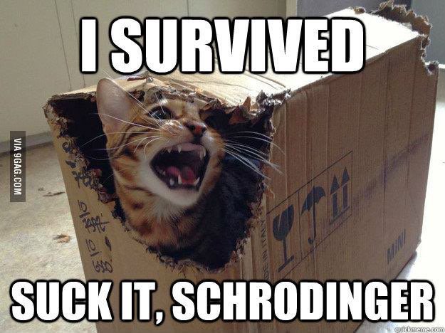 urbanismith's tweet photo. Researching Halloween costumes ... #zombehkitteh with @smwat https://t.co/k2LSYXFDBp