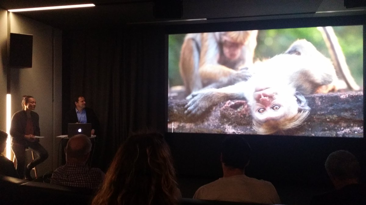 OwendoProd's tweet photo. Owendo Productions à l’avant-première du film "AU ROYAUME DES SINGES" de Disneynature en présence du réalisateur. https://t.co/agH1yvVjI2