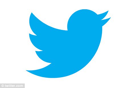 mrCharlieBird's tweet photo. Hello, this is Larry Bird. My brother. He is the twitter logo. I wanted that job, but Larry got it. I'm sad. https://t.co/bDRPNdWj64