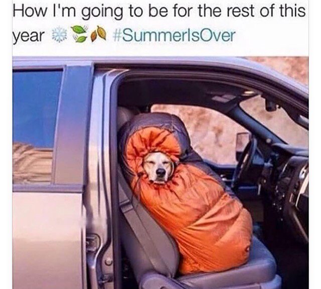 Cuddle Season is officially here! Don't spend it alone 🌦🌧⛈☂ #rainraingoaway #chilly #morningmeme #tbt #single #dog