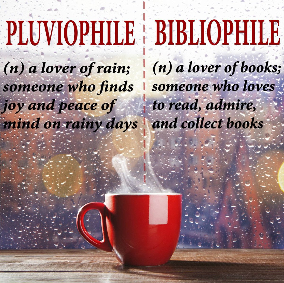 Nimbus Publishing on Twitter "It starts raining, we start reading