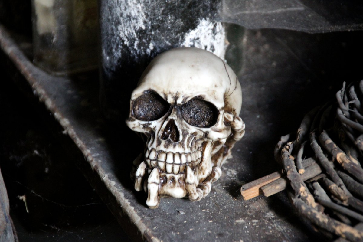 ICDCollections's tweet image. Préparez-vous pour Halloween! bit.ly/1jUfbt2