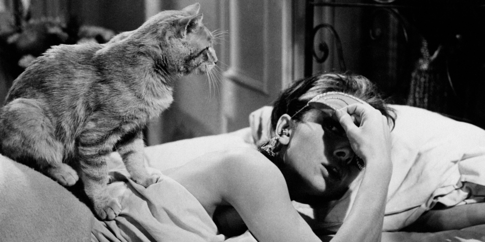 ELLEmagazine's tweet photo. The 23 chicest cat ladies in history: https://t.co/izBQA9zWLm #NationalCatDay https://t.co/AG51gX68Ic