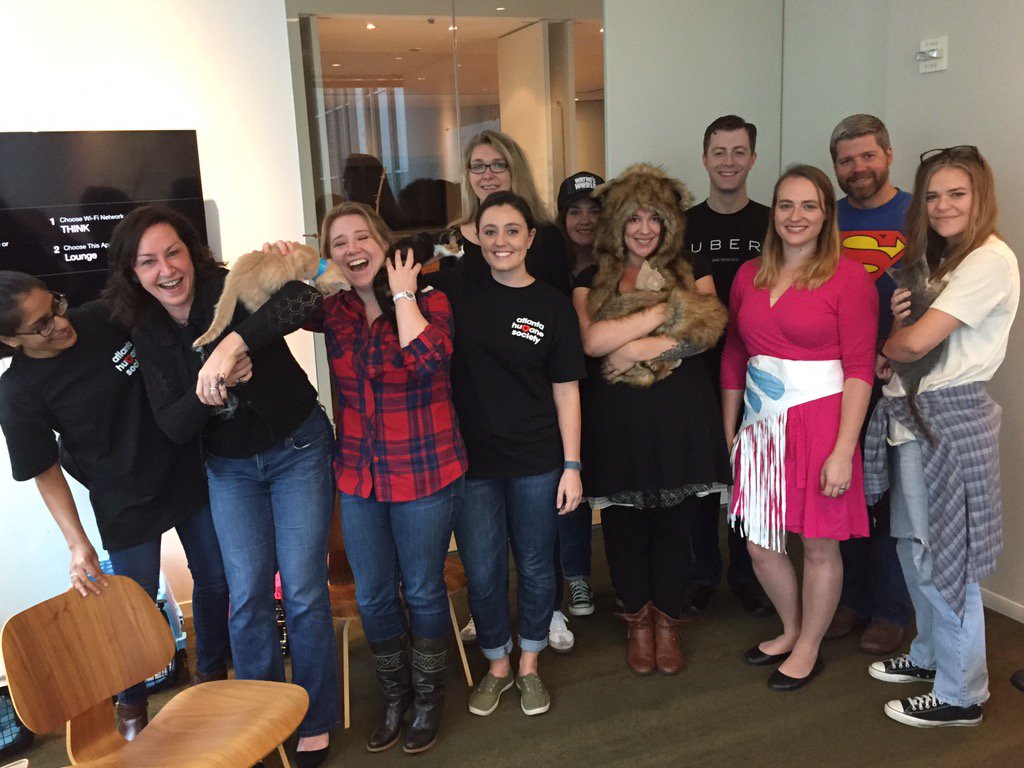 thinkinc's tweet photo. We have #UberKITTENS in the office! https://t.co/RjwvvqeRP3