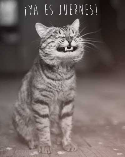 ¿Cómo? ¿Qué? ¡Siii, ya es #juernes!