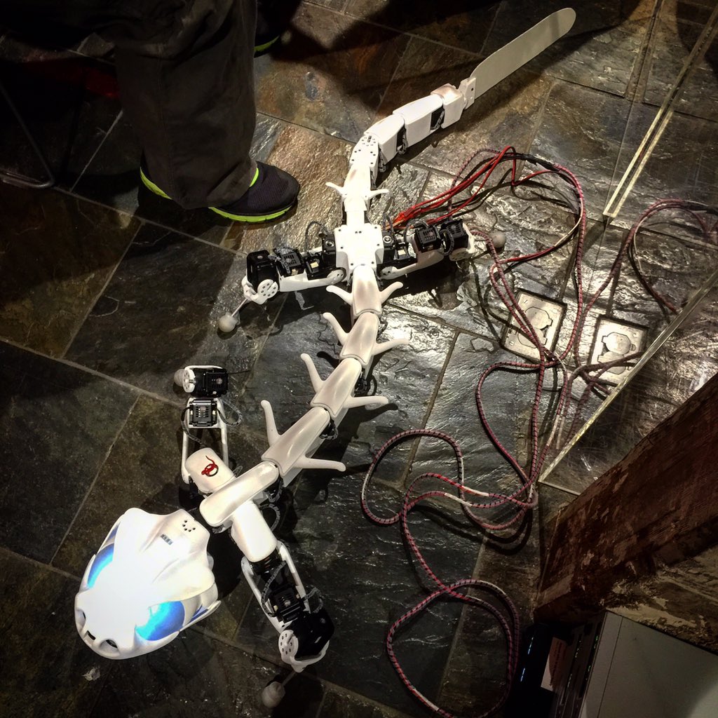 shalomormsby's tweet image. More #biorobots from the #robotics event, hosted by @swissnexSF + @bayareascience. Here&apos;s the gecko-inspired #robot.