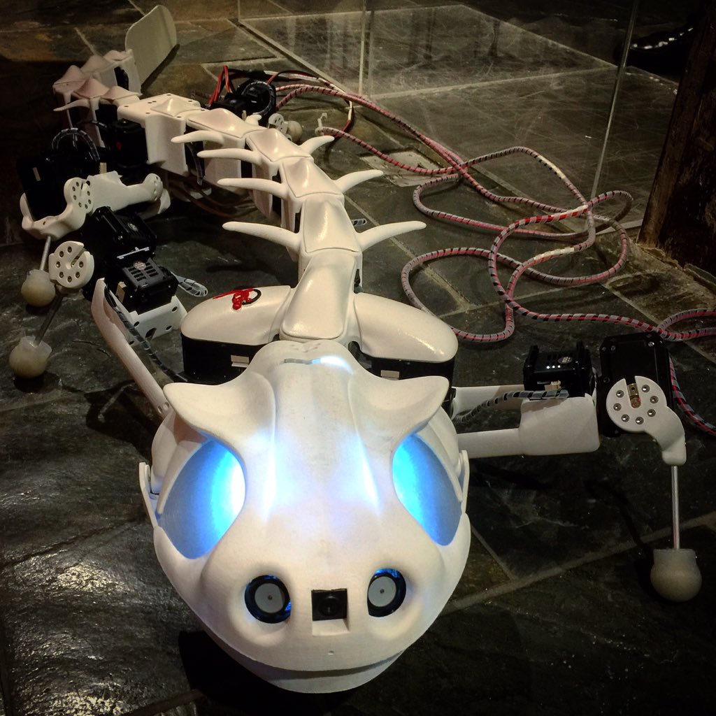 shalomormsby's tweet image. More #biorobots from the #robotics event, hosted by @swissnexSF + @bayareascience. Here&apos;s the gecko-inspired #robot.
