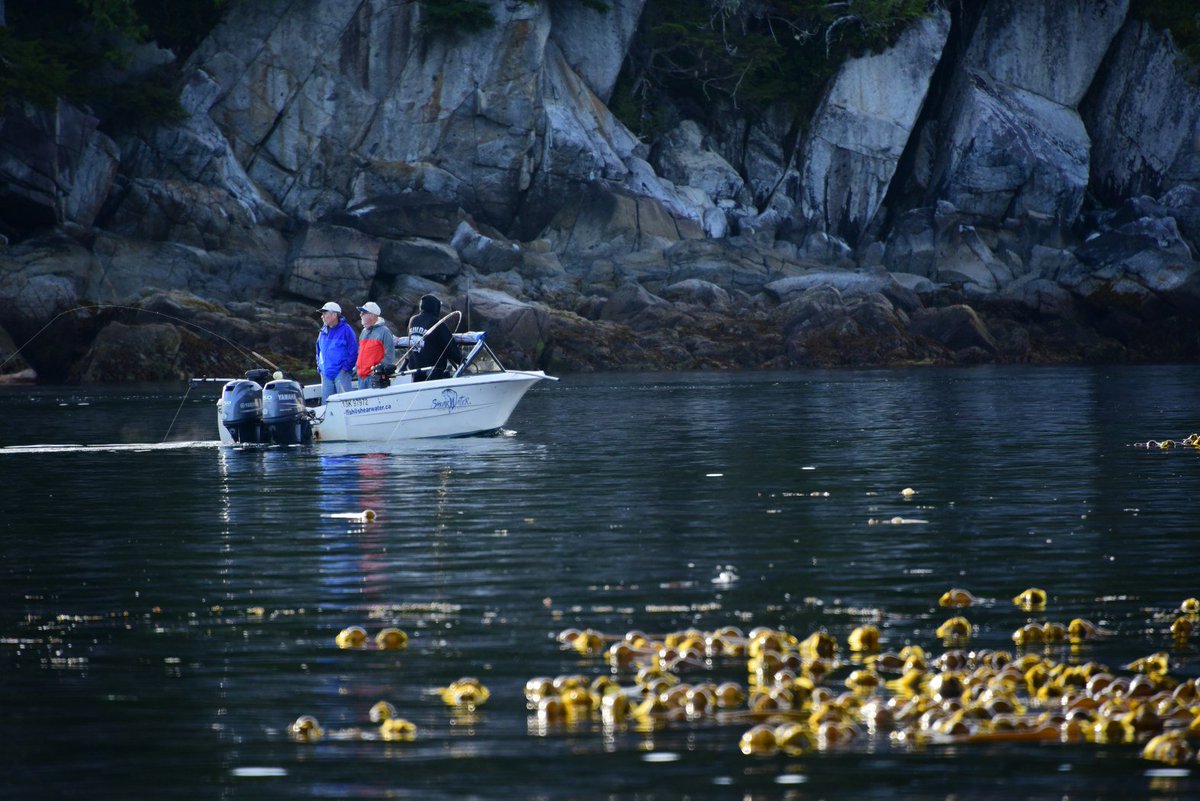 fishslayer14's tweet photo. Calm seas fishing the inside passage near Shearwater Resort #explorebc #ccclives https://t.co/ikUamEMODa